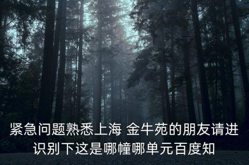 緊急問題熟悉上海 金牛苑的朋友請進識別下這是哪幢哪單元百度知