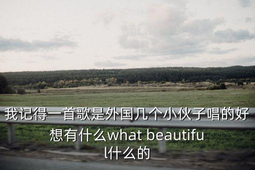 我記得一首歌是外國(guó)幾個(gè)小伙子唱的好想有什么what beautiful什么的