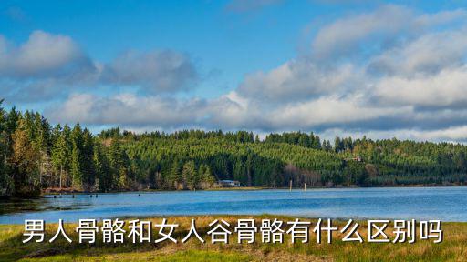 男人骨骼和女人谷骨骼有什么區(qū)別嗎