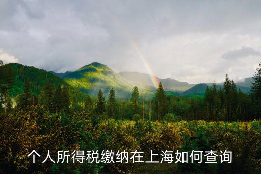個人所得稅繳納在上海如何查詢
