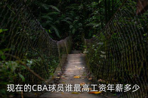 cba年薪，CBA哪個年薪最高
