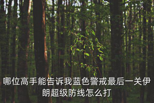哪位高手能告訴我藍色警戒最后一關伊朗超級防線怎么打