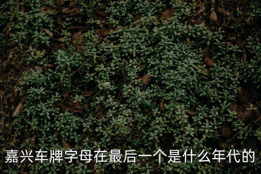 嘉興車牌字母在最后一個是什么年代的