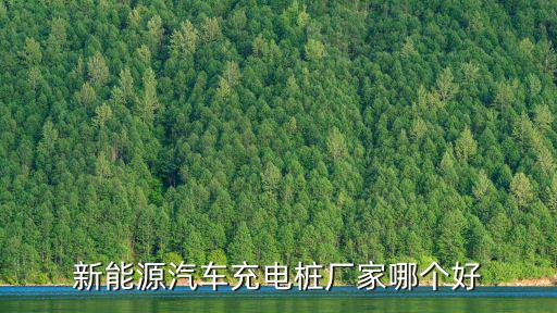 新能源汽車充電樁廠家哪個(gè)好