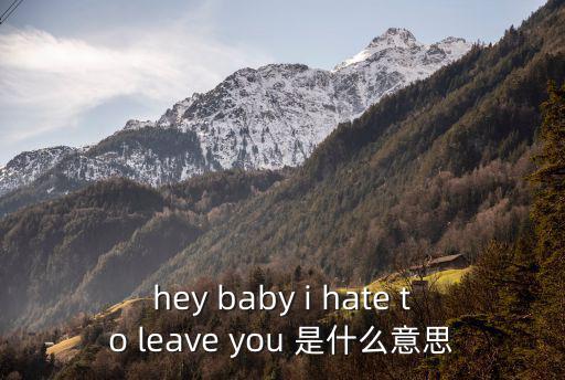 hey baby i hate to leave you 是什么意思