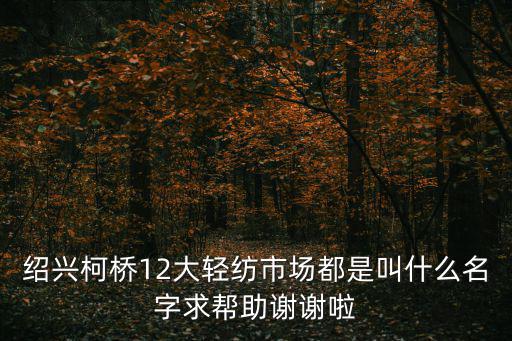 柯橋輕紡城，柯橋是中國最有名的輕紡城嗎