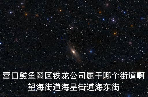 營(yíng)口鲅魚圈區(qū)鐵龍公司屬于哪個(gè)街道啊望海街道海星街道海東街