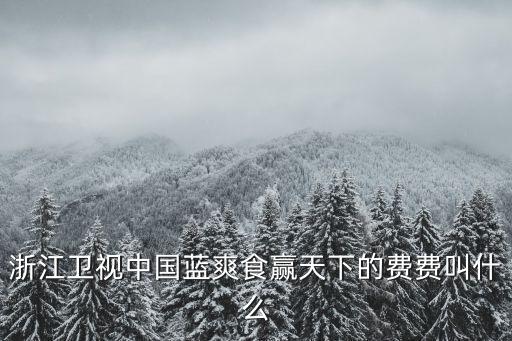 浙江衛(wèi)視中國藍爽食贏天下的費費叫什么