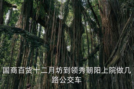 國商百貨十二月坊到領秀朝陽上院做幾路公交車