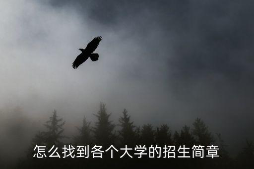 學校招生簡章，民辦學校招生簡章怎么寫
