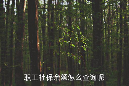 職工社保查詢，職工養老保險金查詢