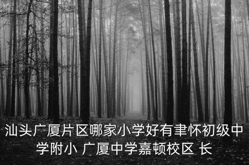 汕頭廣廈片區哪家小學好有聿懷初級中學附小 廣廈中學嘉頓校區 長