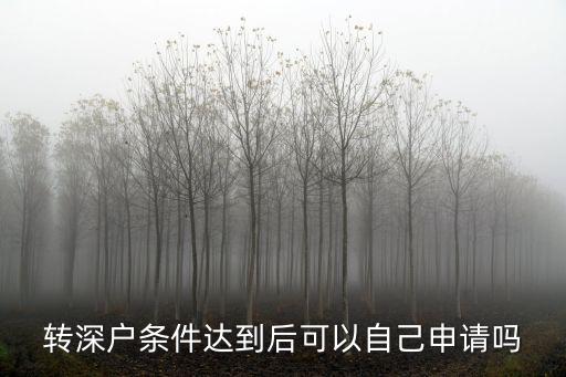 轉深戶條件達到后可以自己申請嗎