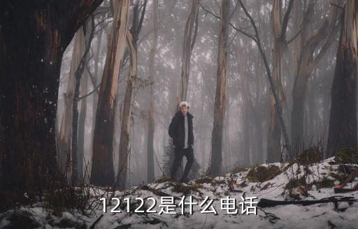 12122是什么電話