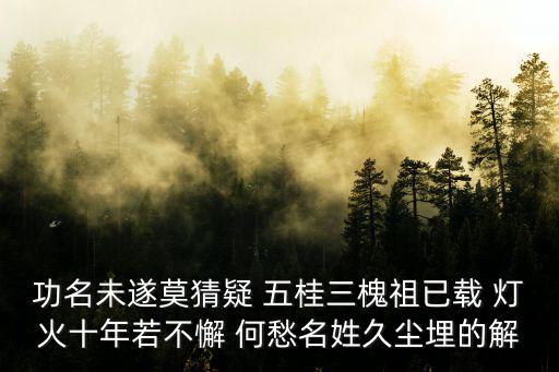 功名未遂莫猜疑 五桂三槐祖已載 燈火十年若不懈 何愁名姓久塵埋的解