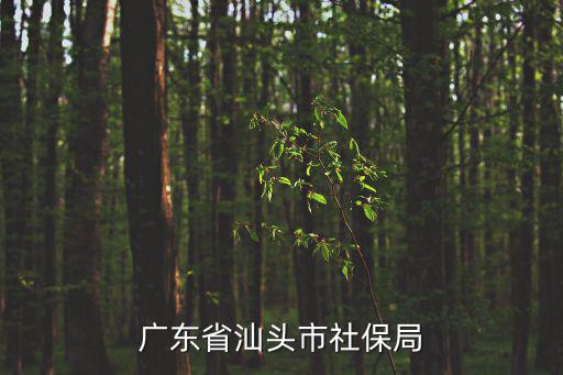 廣東省汕頭市社保局