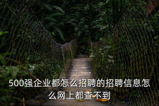 500強企業都怎么招聘的招聘信息怎么網上都查不到