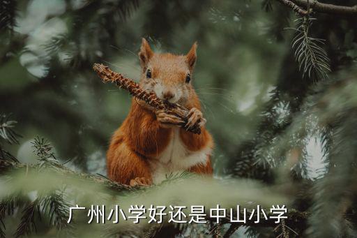 廣州小學好還是中山小學