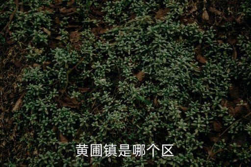 黃圃鎮是哪個區