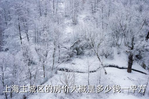 上海各區(qū)房價(jià)，上海主城區(qū)的房價(jià)大概是多少錢一平方