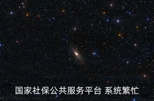 國家社保公共服務平臺 系統(tǒng)繁忙