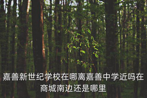 嘉善新世紀學(xué)校，嘉善新世紀學(xué)校在哪離嘉善中學(xué)近嗎在商城南邊還是哪里