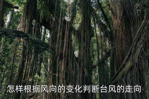 怎樣根據風向的變化判斷臺風的走向