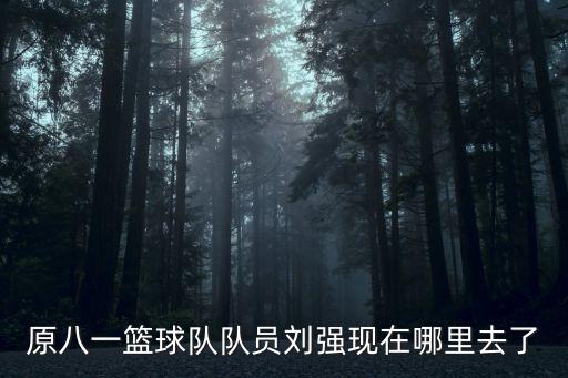 八一男籃為什么退出cba，原八一籃球隊隊員劉強現在哪里去了