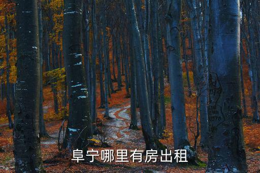 阜沙租房，阜寧哪里有房出租