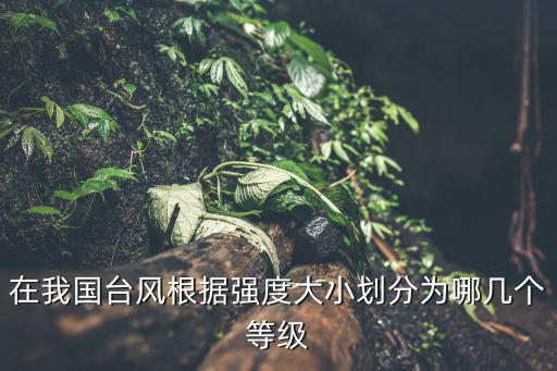 在我國臺風根據(jù)強度大小劃分為哪幾個等級