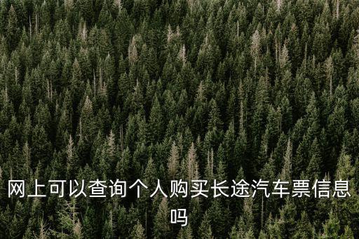 網上可以查詢個人購買長途汽車票信息嗎