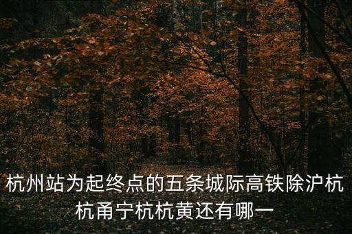 杭州站為起終點的五條城際高鐵除滬杭杭甬寧杭杭黃還有哪一