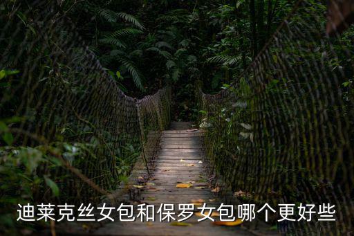 迪萊克絲女包和保羅女包哪個更好些