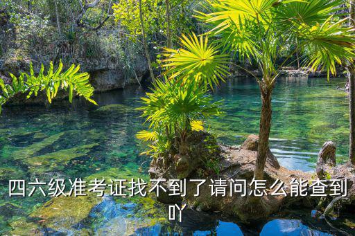 四六級準(zhǔn)考證找不到了請問怎么能查到吖