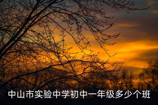 中山市實驗中學，中山市實驗高級中學全景圖