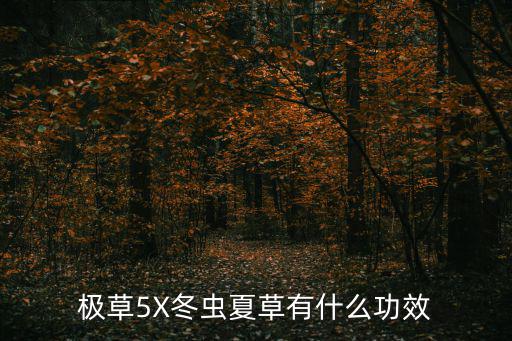 極草5x冬蟲夏草，極草5x的主要作用有哪些
