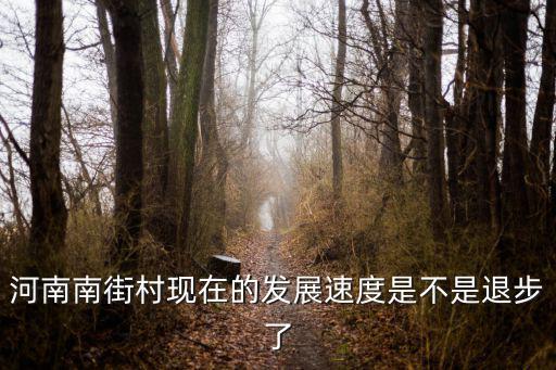 南街村現狀，南街村真實面貌