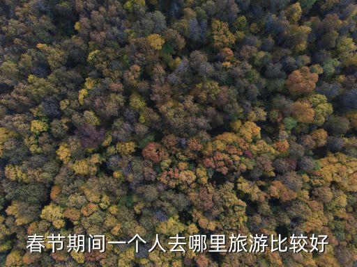 春節(jié)期間一個(gè)人去哪里旅游比較好