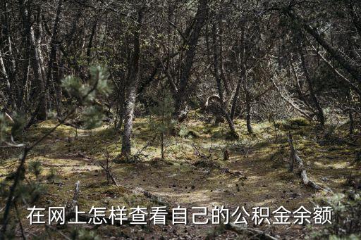 在網上怎樣查看自己的公積金余額