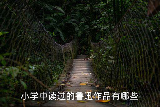 魯迅小學，小學所學的魯迅的作品都有什么