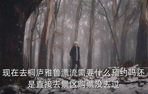 雅魯漂流，雅魯藏布大峽谷能不能漂流