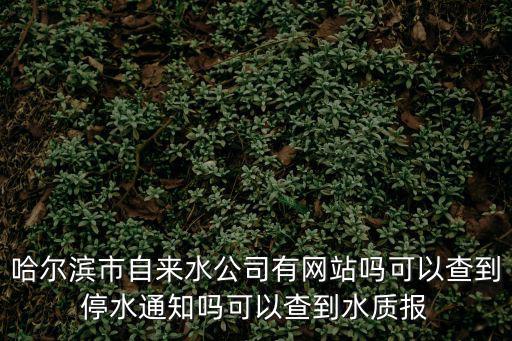 哈爾濱市自來水公司有網站嗎可以查到停水通知嗎可以查到水質報