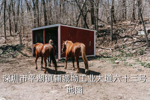 平湖地圖，深圳市平湖鎮輔城坳工業大道六十三號地圖
