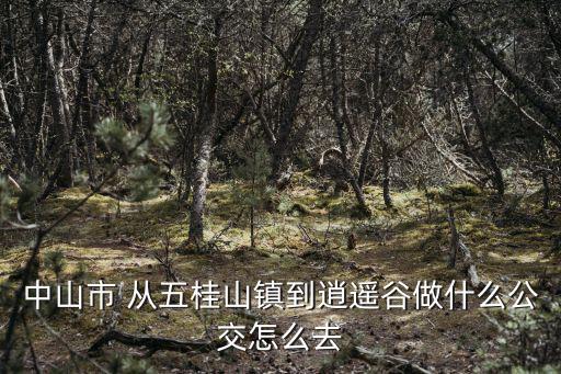 中山市 從五桂山鎮(zhèn)到逍遙谷做什么公交怎么去