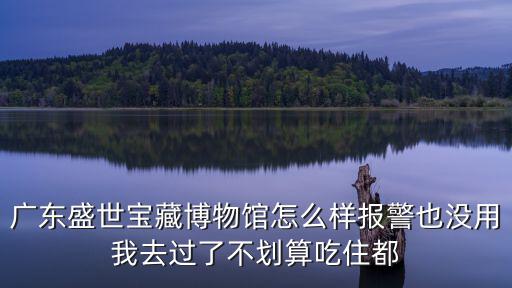 盛世寶邸，盛世寶邸的房子為什么 有錢(qián)都買(mǎi)不到