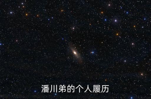 平湖市人民政府，潘川弟的個(gè)人履歷