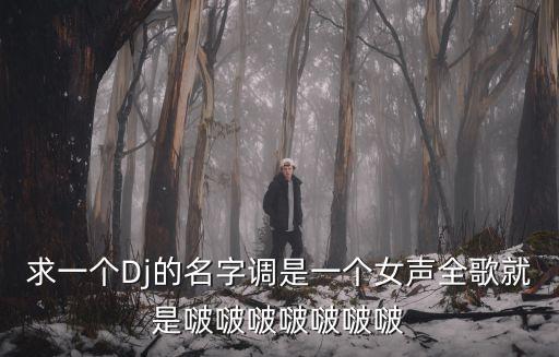 求一個Dj的名字調是一個女聲全歌就是啵啵啵啵啵啵啵
