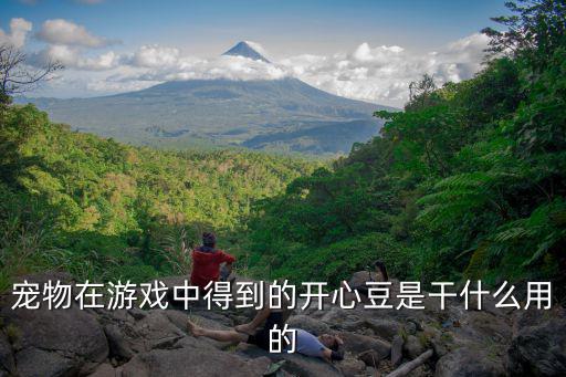 寵物在游戲中得到的開心豆是干什么用的