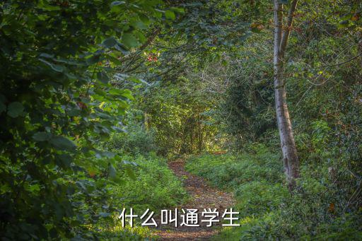什么叫通學生