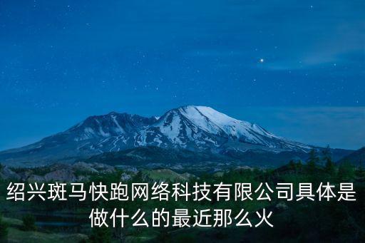紹興斑馬快跑網絡科技有限公司具體是做什么的最近那么火